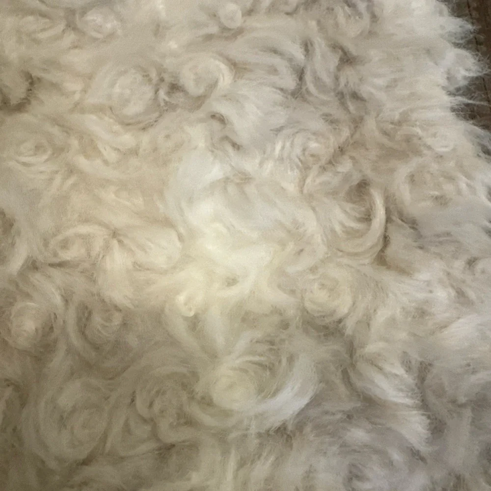 West Elm St. Jude Shearling Faux Fur Pillow Cover - 20”x20”